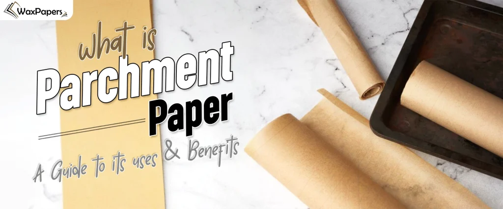 what is parchment paper A Guide to its uses & Benefits